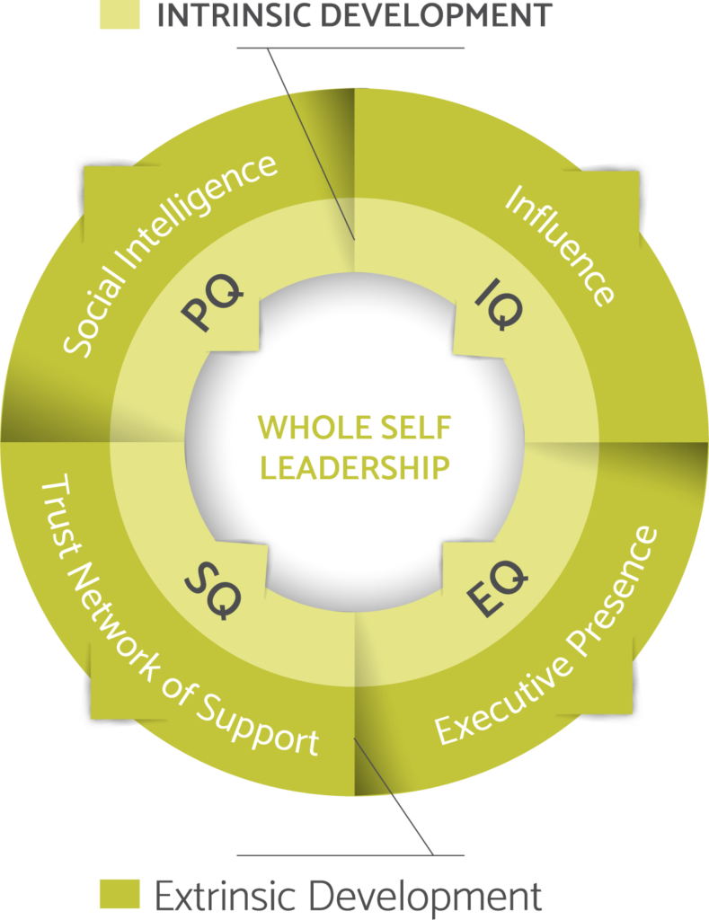 Approach - Wong Global Leadership